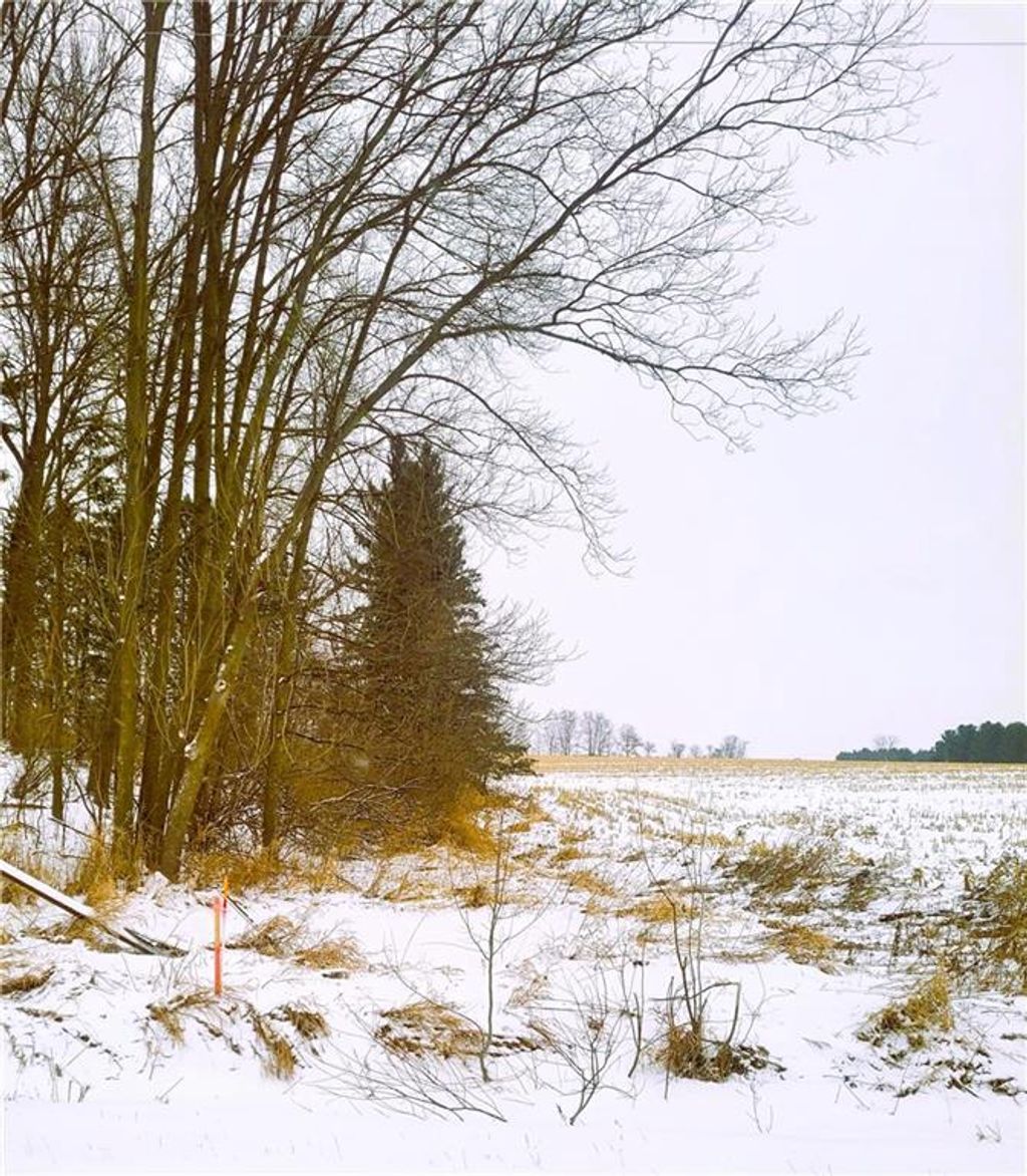 Photo of 0000 County Hwy B Lot 4, Neillsville, WI 54456 (MLS # 1597957)