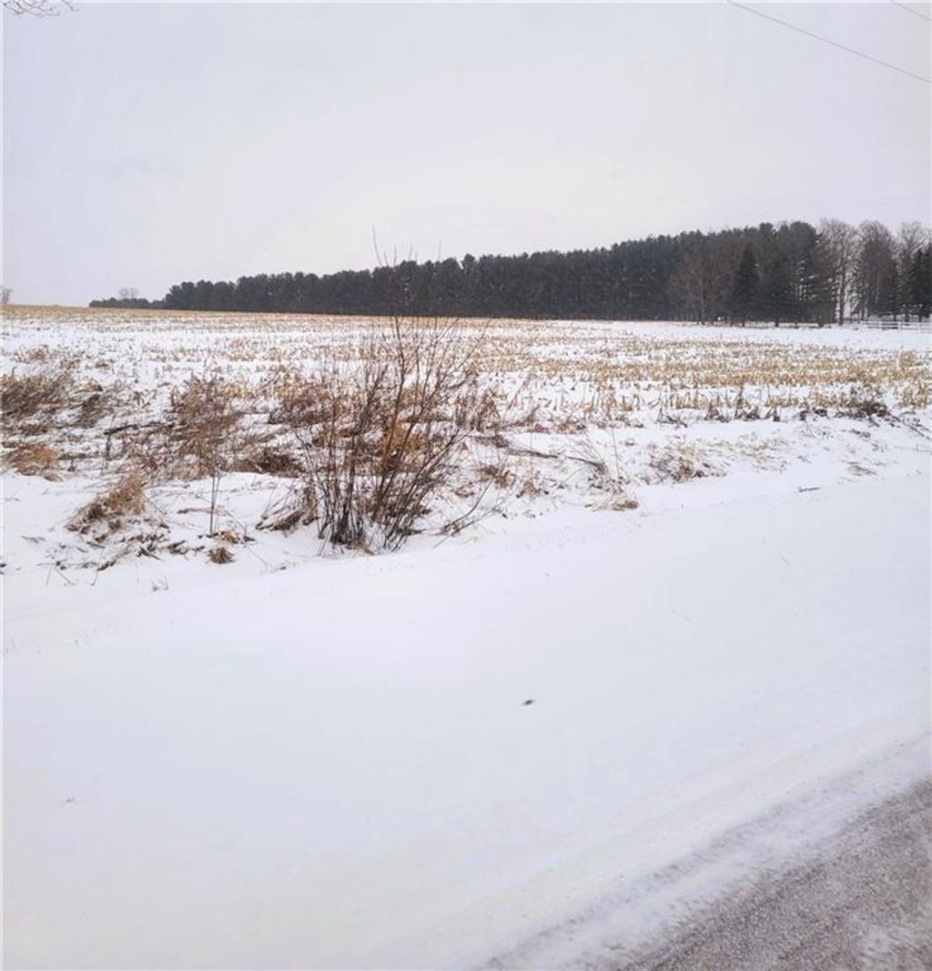 Photo of 0000 County Hwy B Lot 4, Neillsville, WI 54456 (MLS # 1597957)