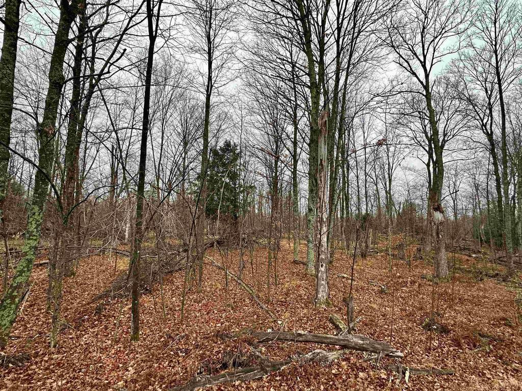 Photo of Lot 60 Chip N Dale DRIVE, Pickerel, WI 54465 (MLS # 22505503)