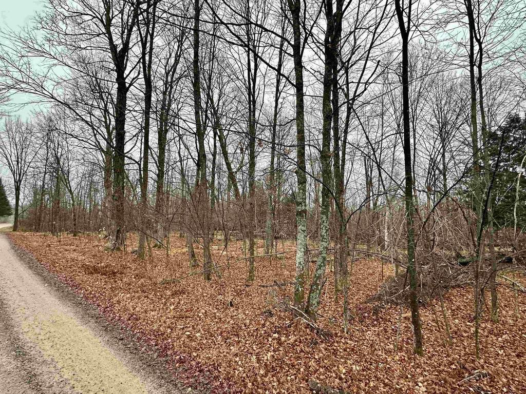 Photo of Lot 60 Chip N Dale DRIVE, Pickerel, WI 54465 (MLS # 22505503)