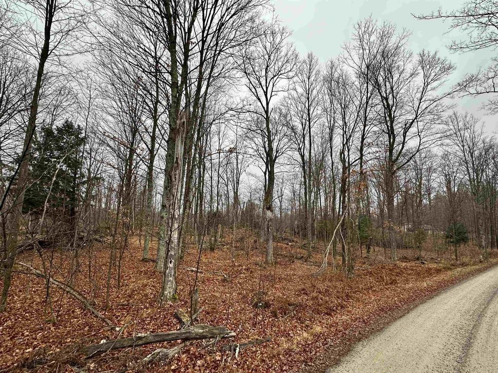 Photo of Lot 60 Chip N Dale DRIVE, Pickerel, WI 54465 (MLS # 22505503)