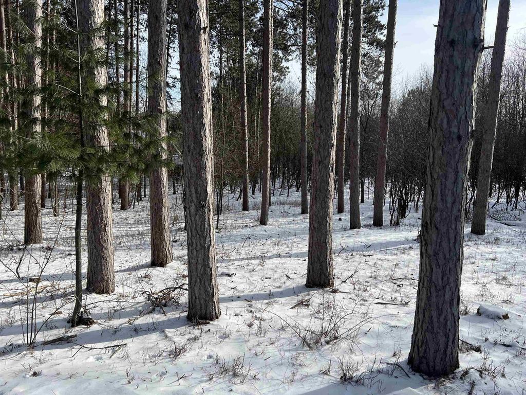 Photo of E2446 E Lamplighter Lane LANE, Waupaca, WI 54981 (MLS # 50320513)