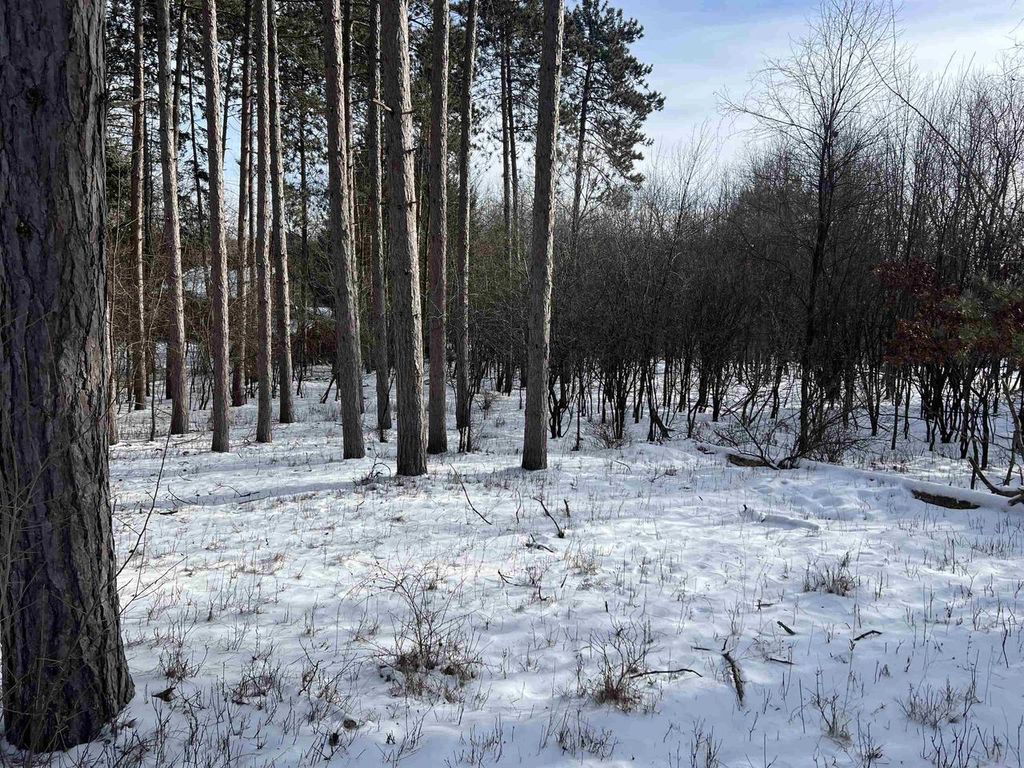 Photo of E2446 E Lamplighter Lane LANE, Waupaca, WI 54981 (MLS # 50320513)