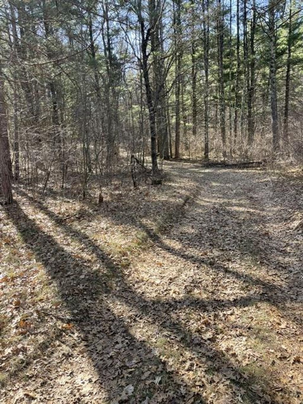 Photo of 0 Forest Road 1637 ROAD, Oconto, WI 54161 (MLS # 2021562)