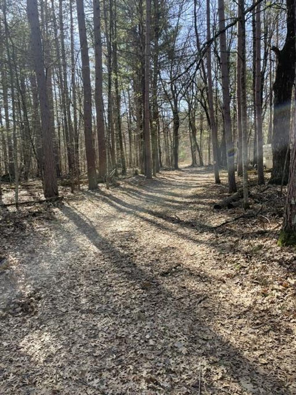 Photo of 0 Forest Road 1637 ROAD, Oconto, WI 54161 (MLS # 2021562)