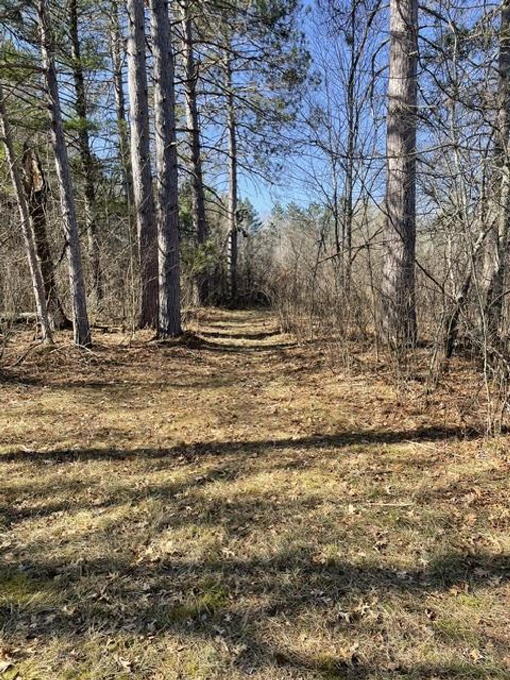 Photo of 0 Forest Road 1637 ROAD, Oconto, WI 54161 (MLS # 2021562)
