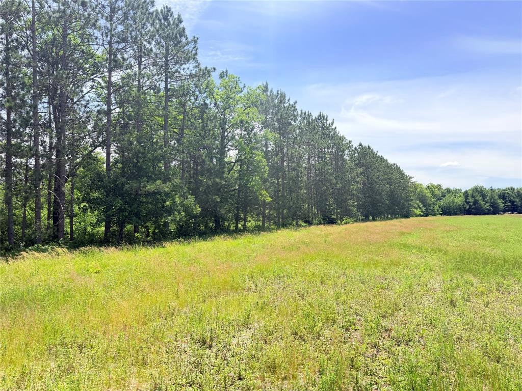 Photo of 0 Boat Landing ROAD, Ladysmith, WI 54848 (MLS # 1602345)