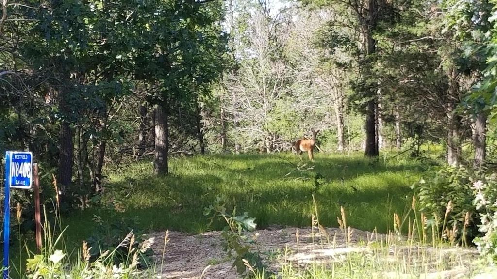 Photo of W8408 Elk AVENUE, Oxford, WI 53952 (MLS # 2019218)