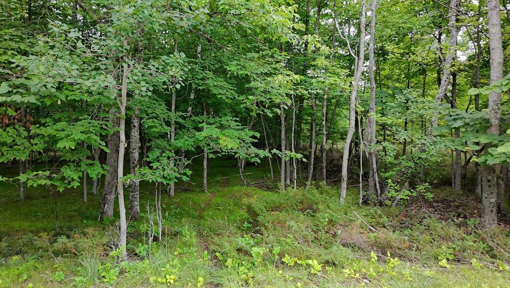 Photo of Gibraltar ROAD, Fish Creek, WI 54212 (MLS # 50330400)
