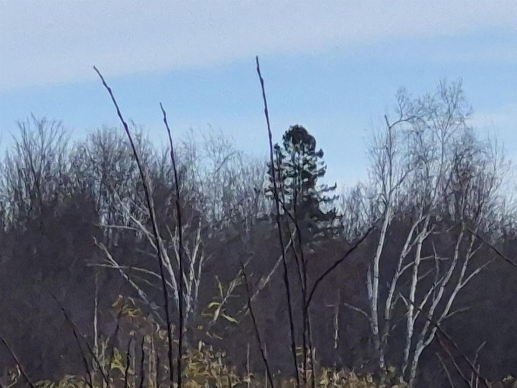 Photo of 000 Sawmill ROAD, Wausau, WI 54403 (MLS # 22605453)
