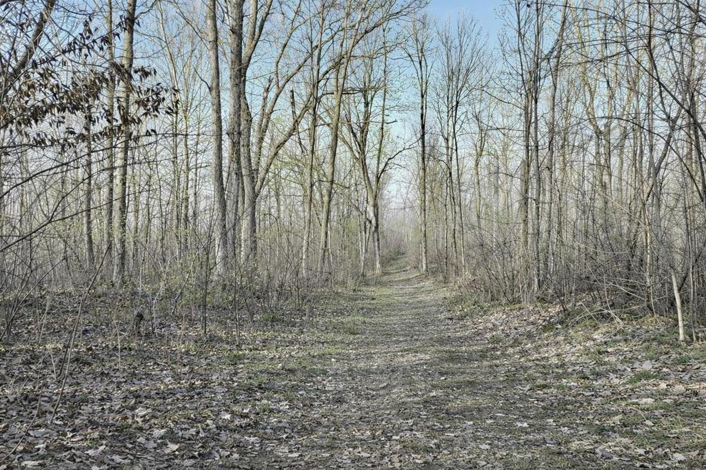 Photo of LOT 3 13 1/2 AVENUE, Barron, WI 54812 (MLS # 2019983)