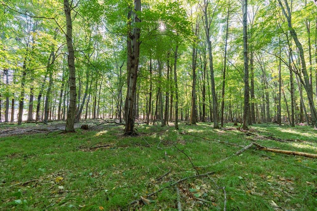 Photo of Lot5 815th AVENUE, Menomonie, WI 54751 (MLS # 1605599)