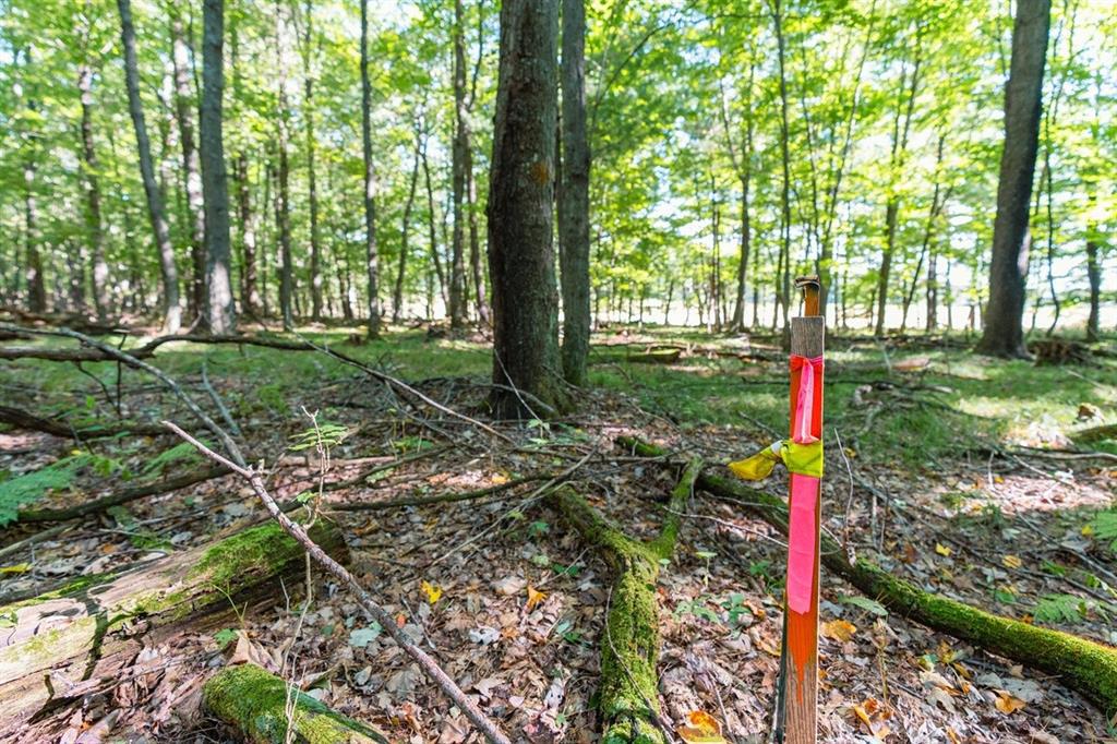 Photo of Lot5 815th AVENUE, Menomonie, WI 54751 (MLS # 1605599)