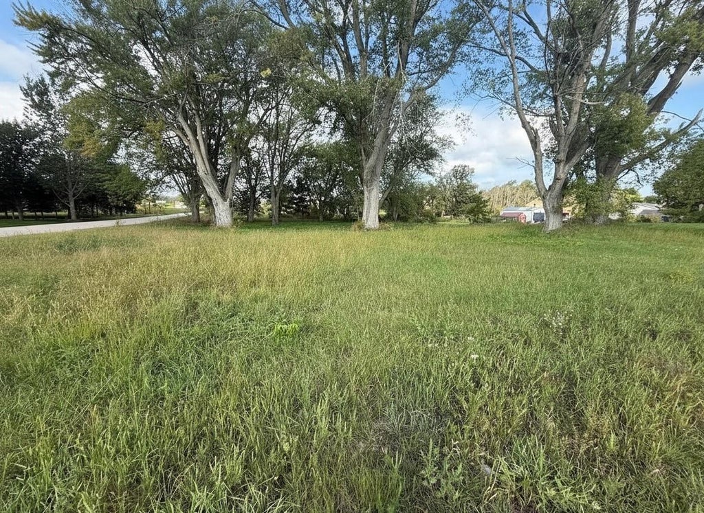 Photo of W1704 Mile DRIVE, Pulaski, WI 54162 (MLS # 50332700)