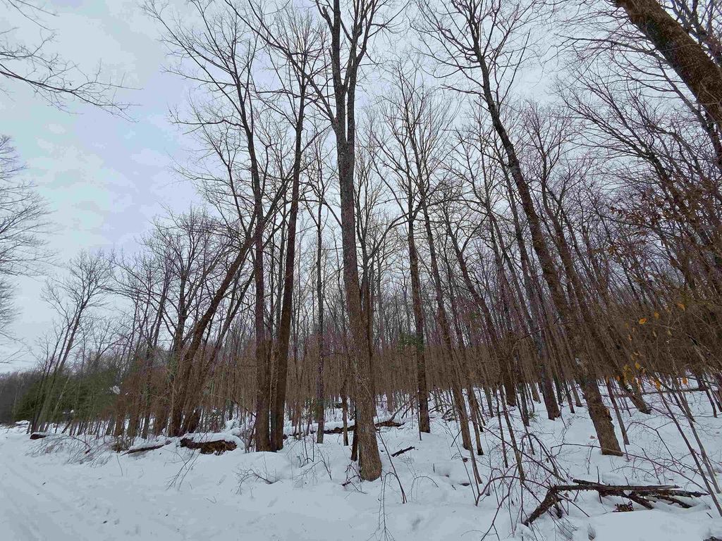 Photo of 12XXX Olson ROAD, Hayward, WI 54843 (MLS # 6123185)