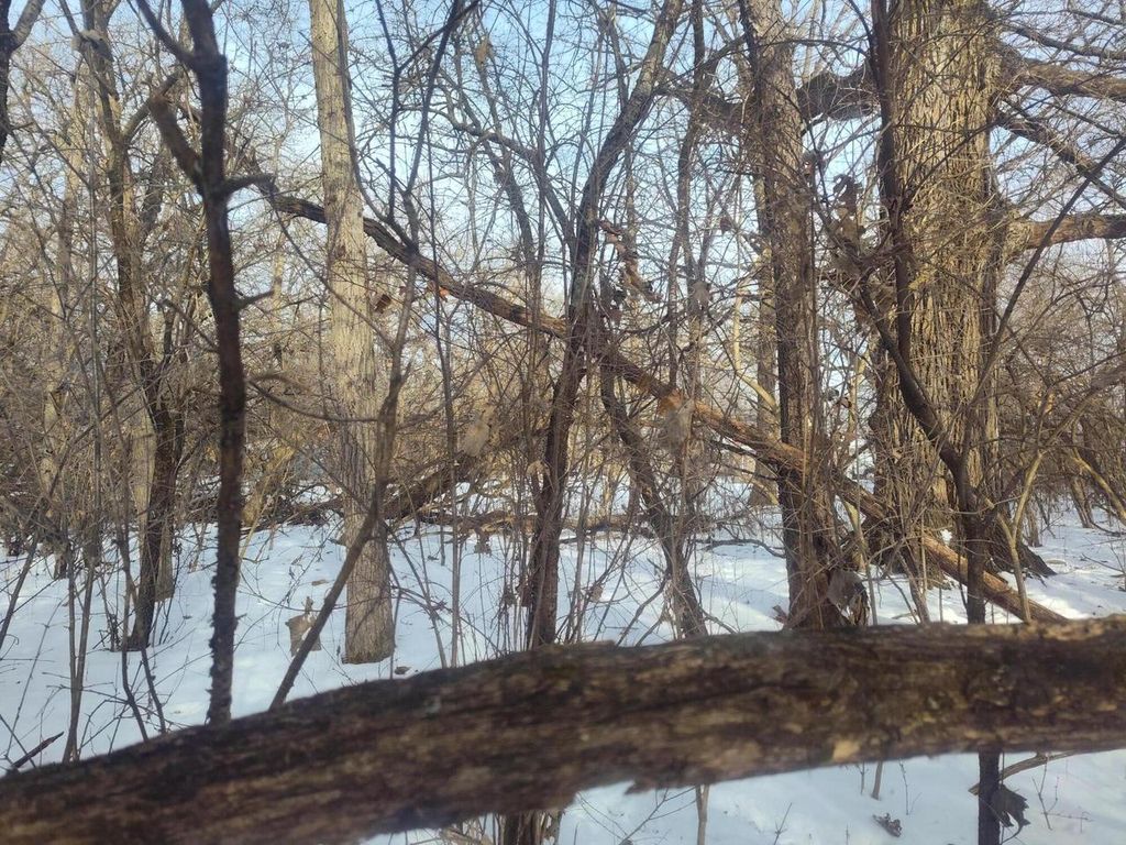 Photo of Lot 11 109th STREET, Trevor, WI 53179 (MLS # 1949098)