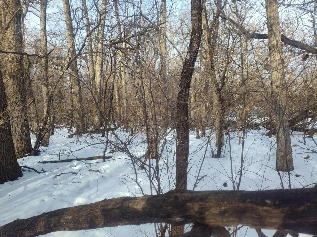 Photo of Lot 11 109th STREET, Trevor, WI 53179 (MLS # 1949098)
