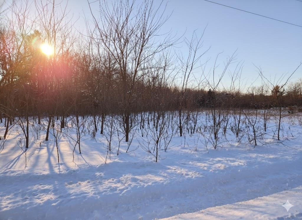 Photo of 5.67 acres 22nd STREET, Necedah, WI 54646 (MLS # 2013874)