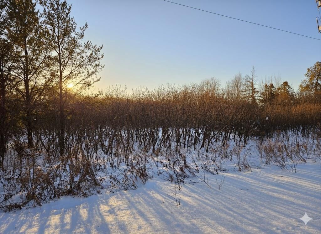 Photo of 5.67 acres 22nd STREET, Necedah, WI 54646 (MLS # 2013874)