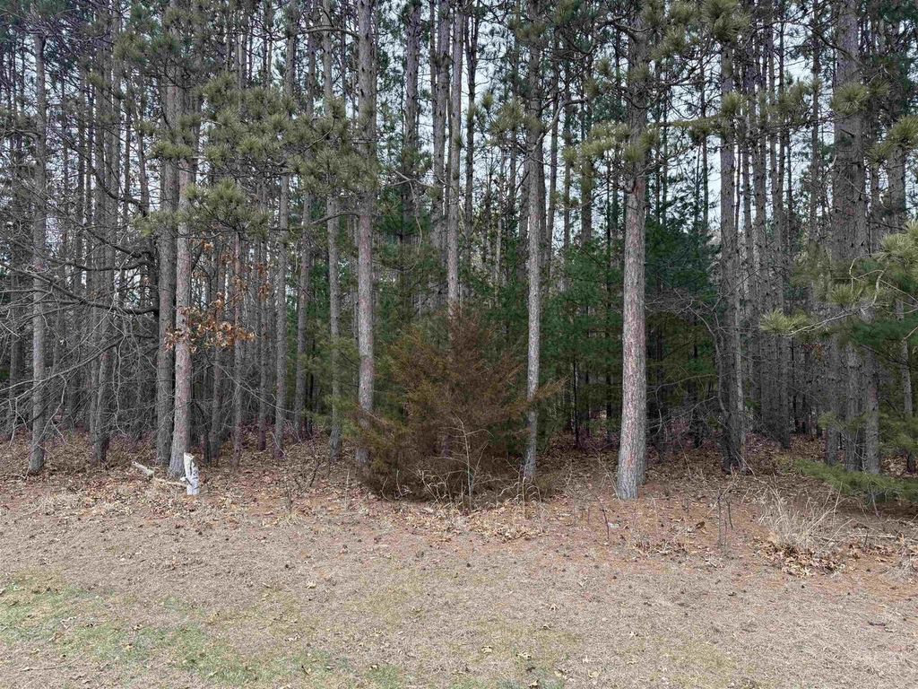 Photo of NHN Phylane ROAD, Lone Rock, WI 53556 (MLS # 2018457)