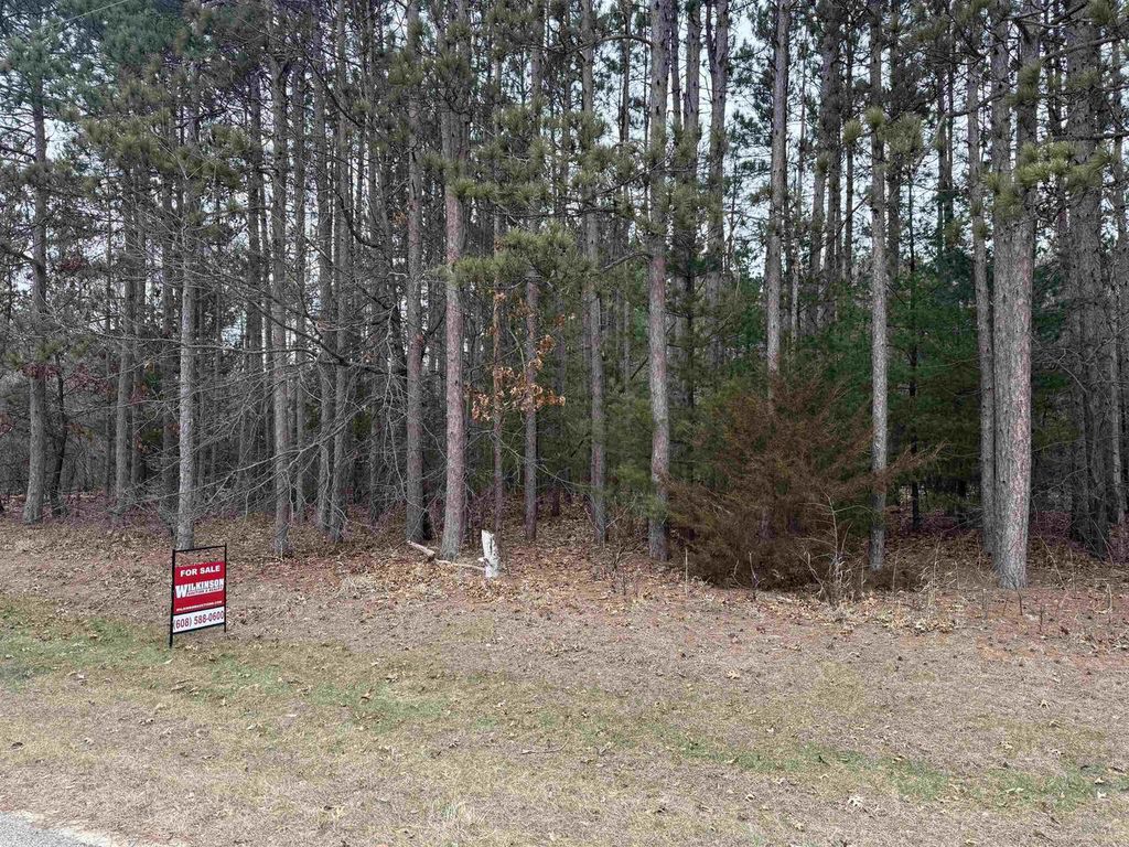 Photo of NHN Phylane ROAD, Lone Rock, WI 53556 (MLS # 2018457)
