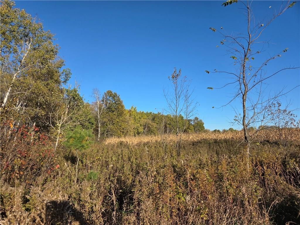 Photo of Intersection of Hwy. 48 &amp; Co. Rd. 25, Rice Lake, WI 54868 (MLS # 1596400)