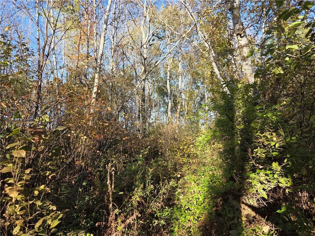 Photo of Intersection of Hwy. 48 &amp; Co. Rd. 25, Rice Lake, WI 54868 (MLS # 1596400)