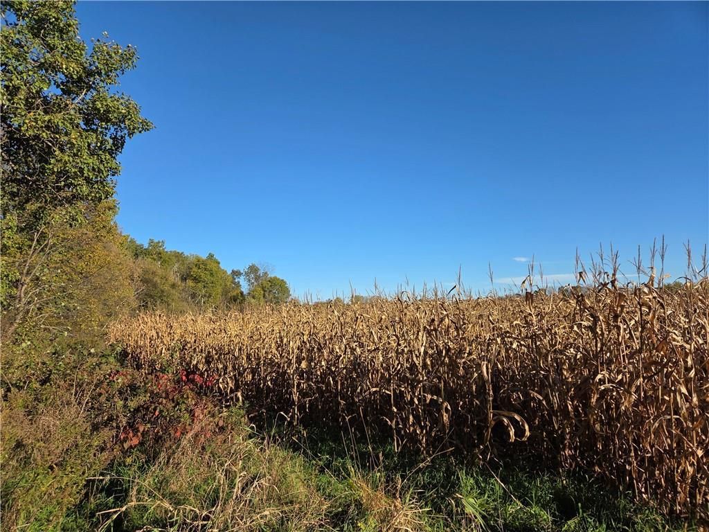 Photo of Intersection of Hwy. 48 &amp; Co. Rd. 25, Rice Lake, WI 54868 (MLS # 1596400)