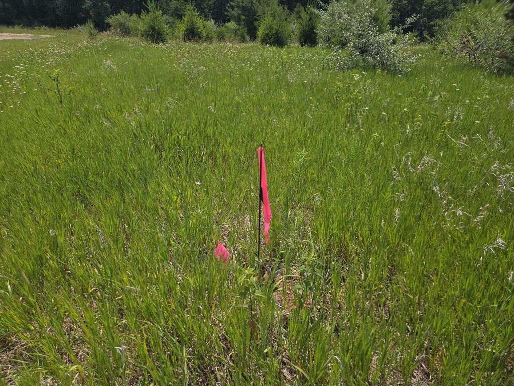 Photo of L1076 Hunt Club Bugle COURT, La Valle, WI 53941 (MLS # 2026530)