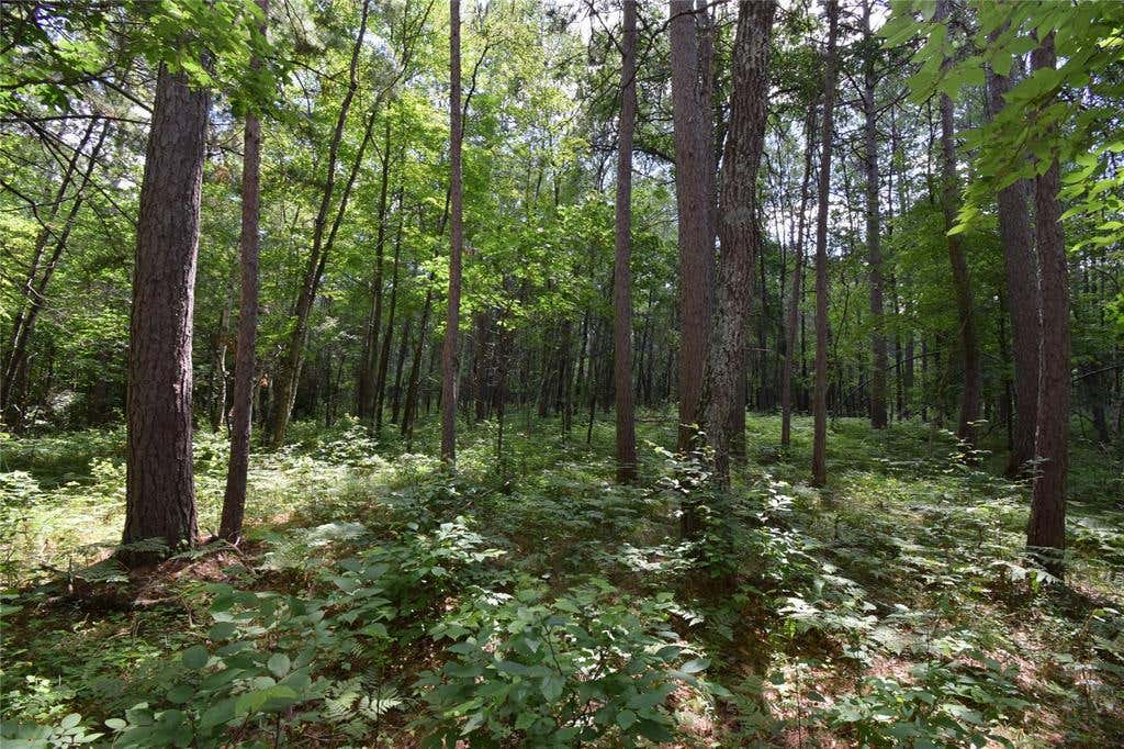 Photo of Lot 2 Saylors LANE, Siren, WI 54872 (MLS # 1603029)