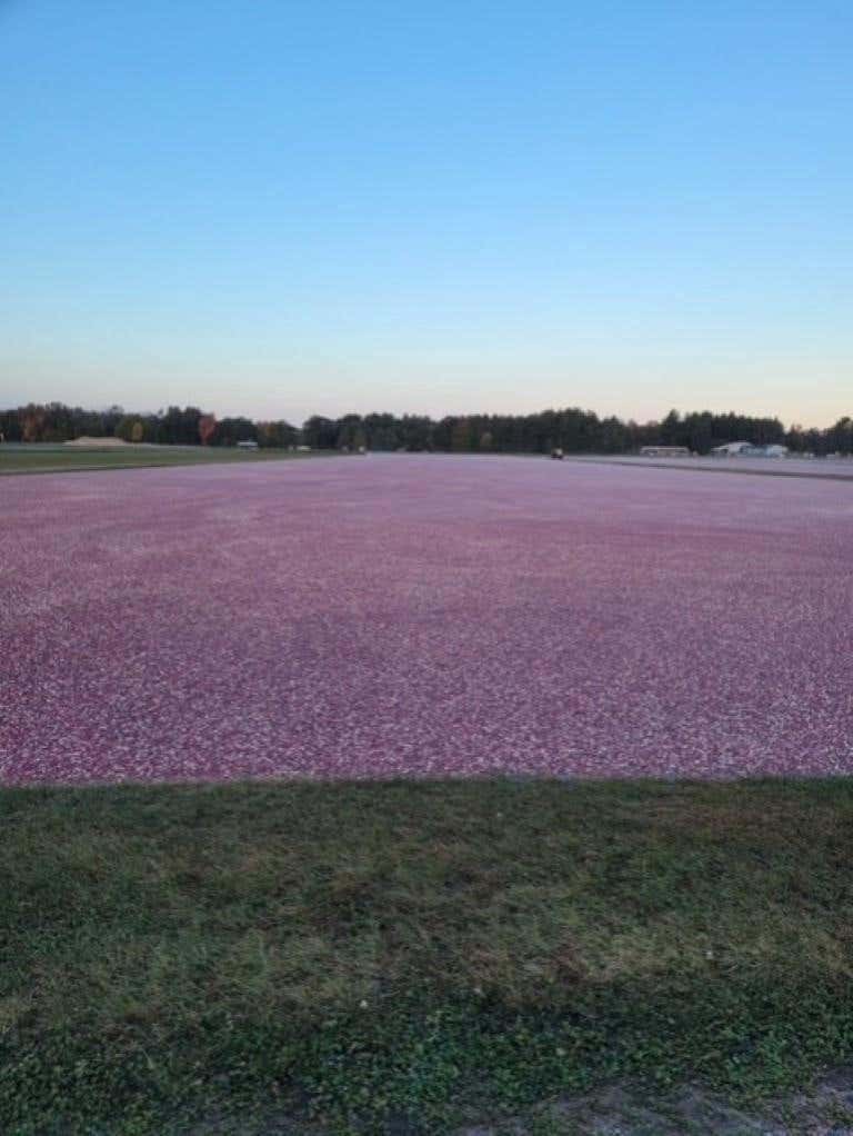 Photo of 88 MOL County Road F, Necedah, WI 54646 (MLS # 22603265)