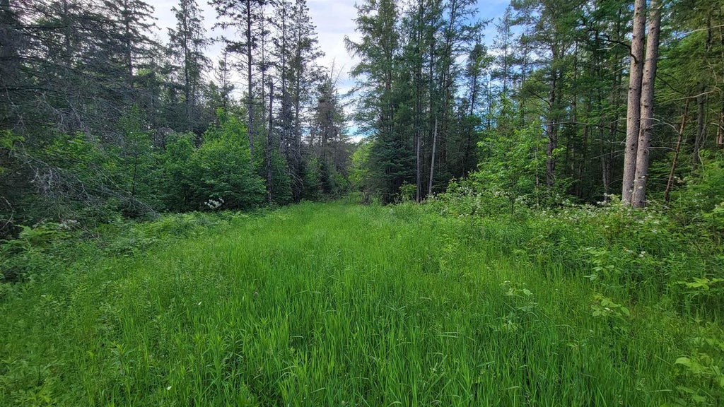 Photo of On Brady LANE, Elcho, WI 54428 (MLS # 22602752)