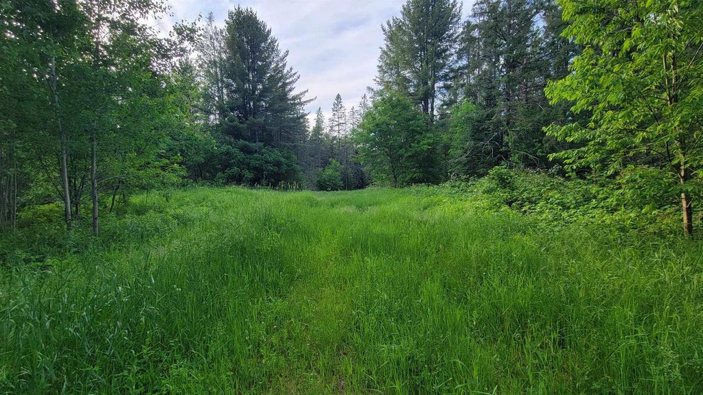 Photo of On Brady LANE, Elcho, WI 54428 (MLS # 22602752)