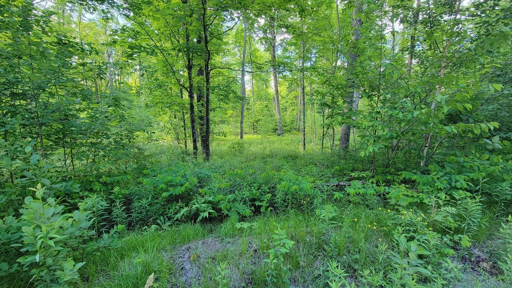 Photo of On Brady LANE, Elcho, WI 54428 (MLS # 22602752)