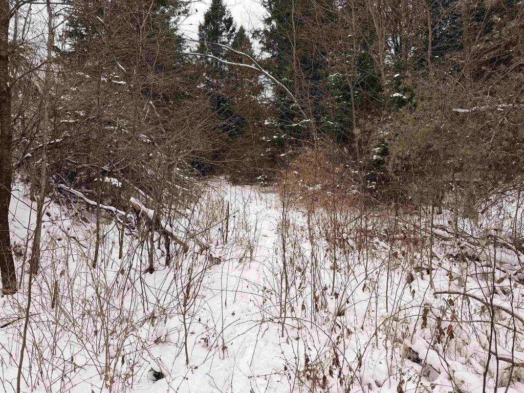 Photo of Forest Hill DRIVE, Townsend, WI 54175 (MLS # 50319050)