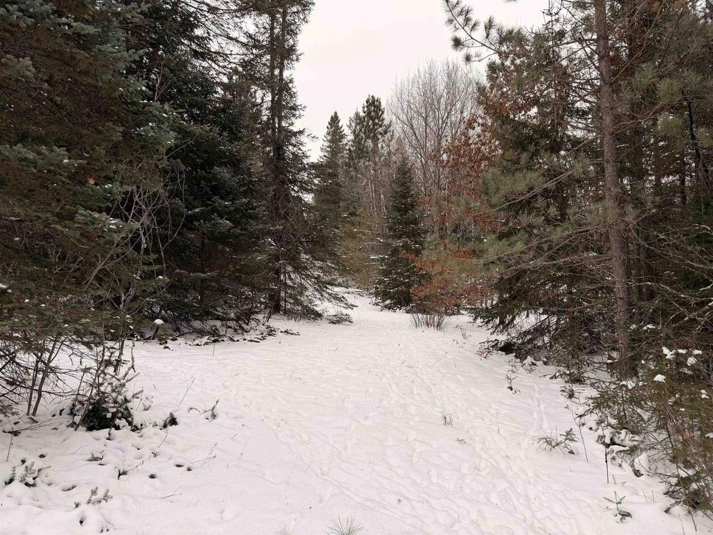 Photo of Forest Hill DRIVE, Townsend, WI 54175 (MLS # 50319050)