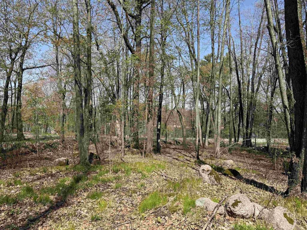Photo of Lot 1 County Road G, Iola, WI 54945 (MLS # 22602092)