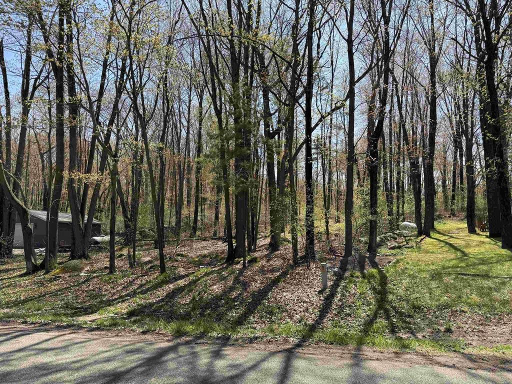 Photo of Lot 1 County Road G, Iola, WI 54945 (MLS # 22602092)