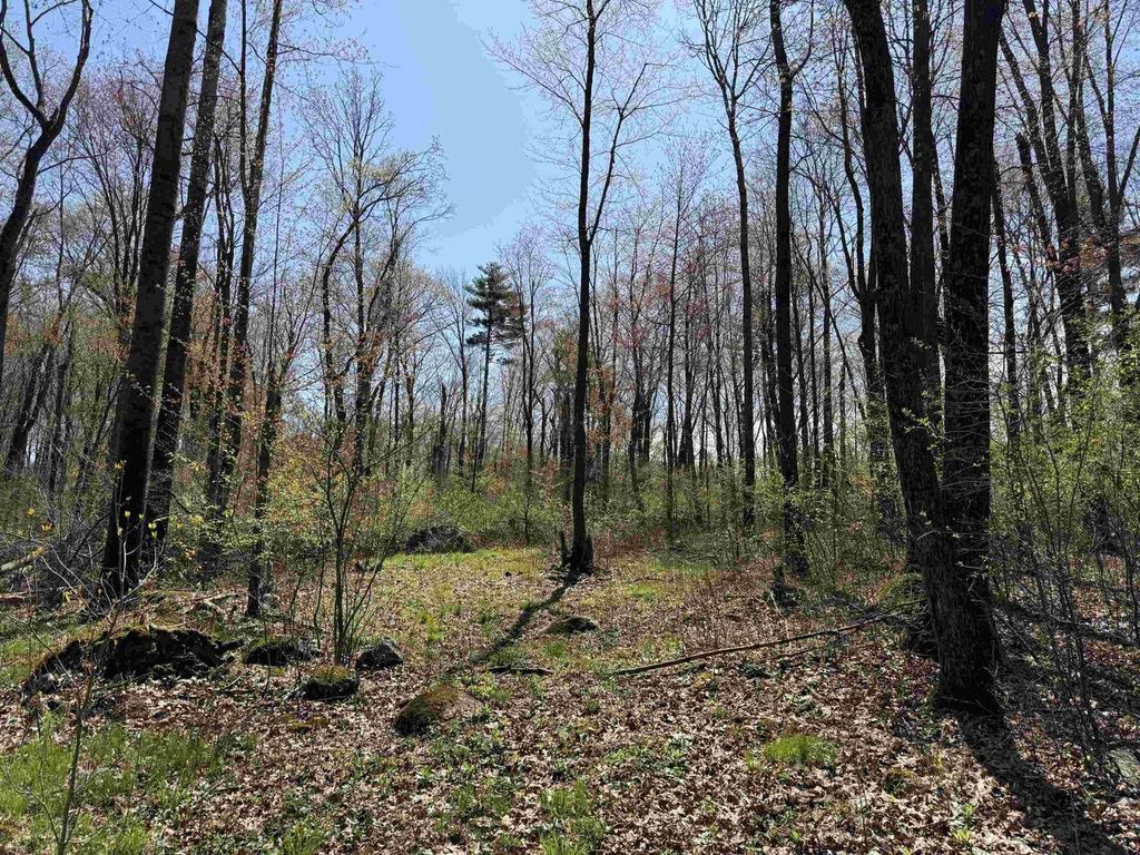 Photo of Lot 1 County Road G, Iola, WI 54945 (MLS # 22602092)