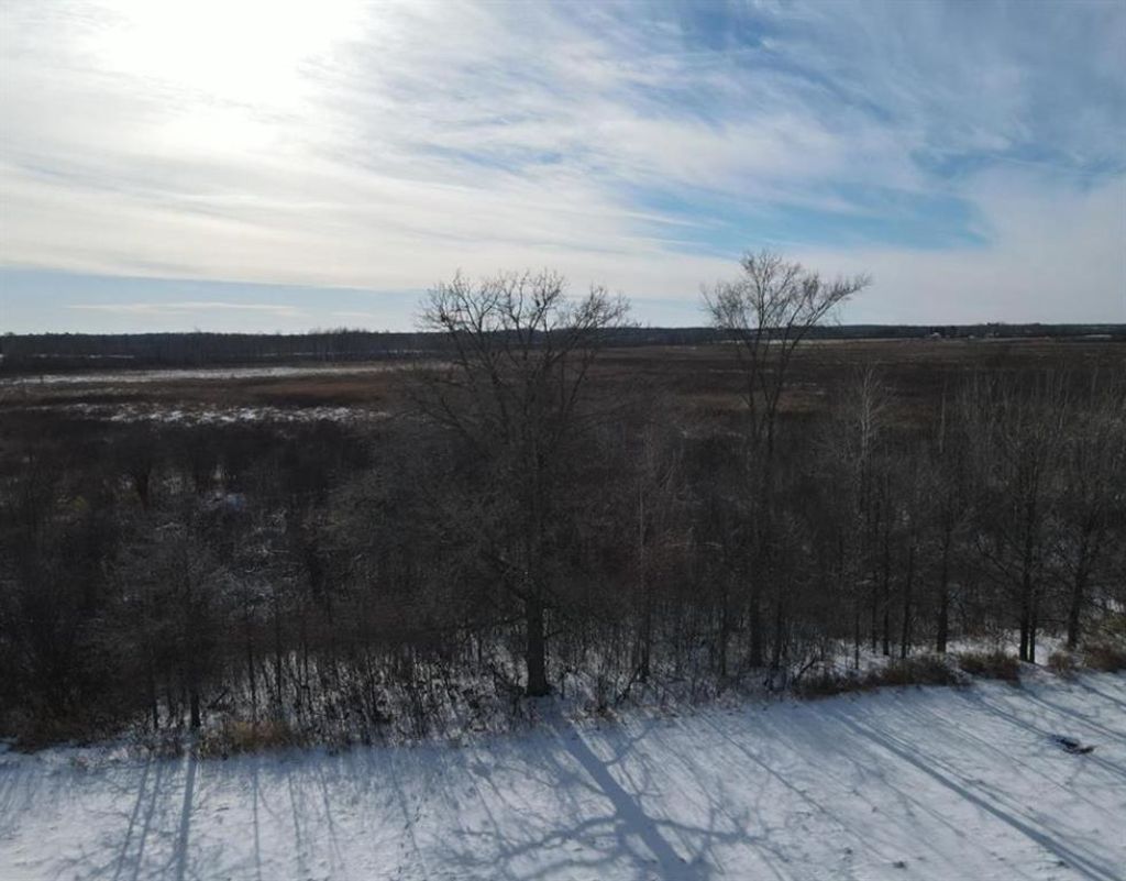 Photo of TBD Homestead ROAD, Conrath, WI 54731 (MLS # 1597499)