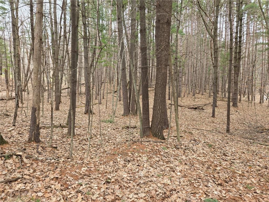 Photo of E5310 732nd AVENUE, Menomonie, WI 54751 (MLS # 7046222)