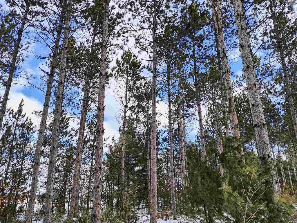 Photo of 19.81 Acres 6th Avenue, Grand Marsh, WI 53936 (MLS # 2016197)