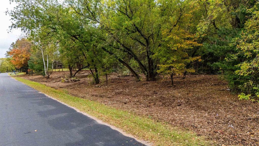 Photo of #2-1 Lot Bay View DRIVE, Mosinee, WI 54455 (MLS # 22600674)