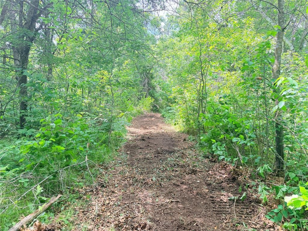 Photo of 0 Peterson ROAD, Bruce, WI 54819 (MLS # 1602343)