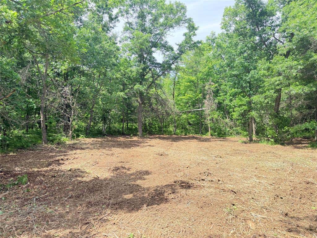 Photo of 0 Peterson ROAD, Bruce, WI 54819 (MLS # 1602343)