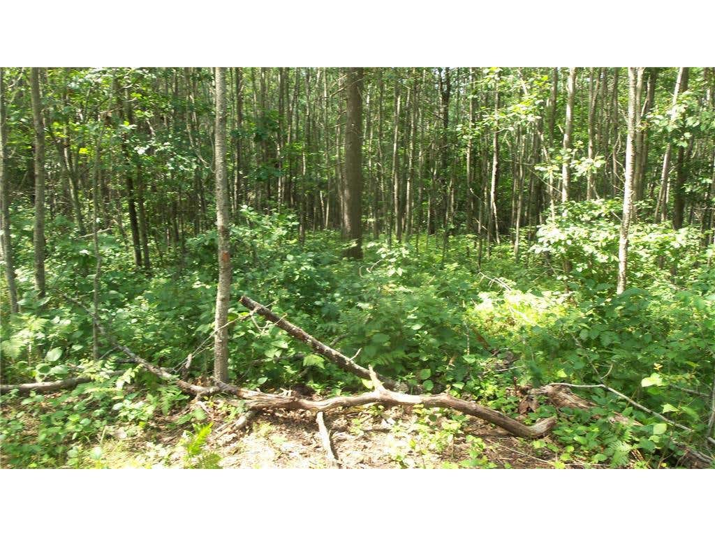 Photo of Lot 7 Birch Tree Trl, Spooner, WI 54801 (MLS # 7120163)