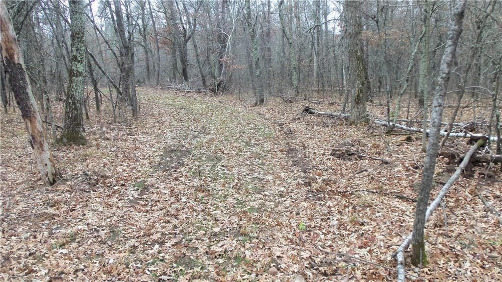 Photo of Lot 5 Canute Creek Trl, Grantsburg, WI 54840 (MLS # 1597671)