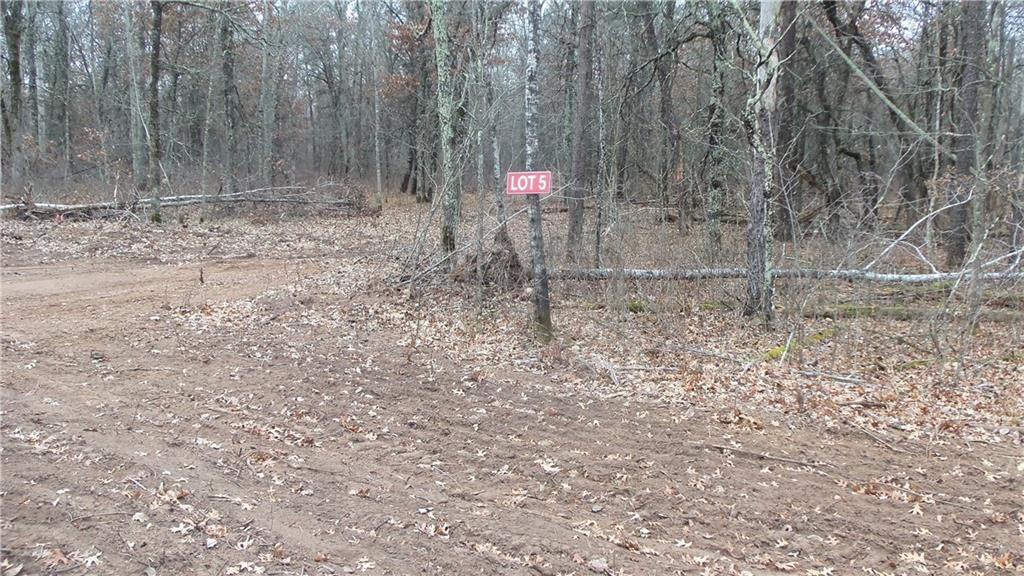 Photo of Lot 5 Canute Creek Trl, Grantsburg, WI 54840 (MLS # 1597671)