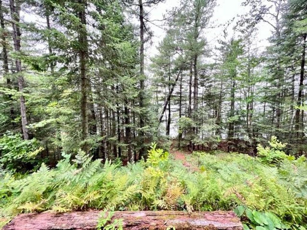 Photo of 9102 County Road E Rd, Hayward, WI 54843 (MLS # 1596894)