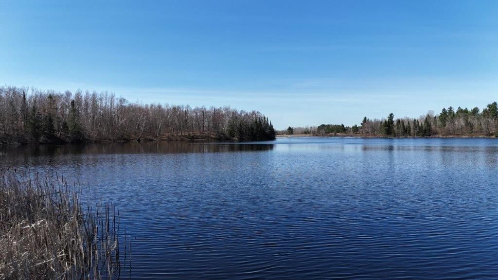 Photo of 0 Highway 35, Danbury, WI 54830 (MLS # 1600361)